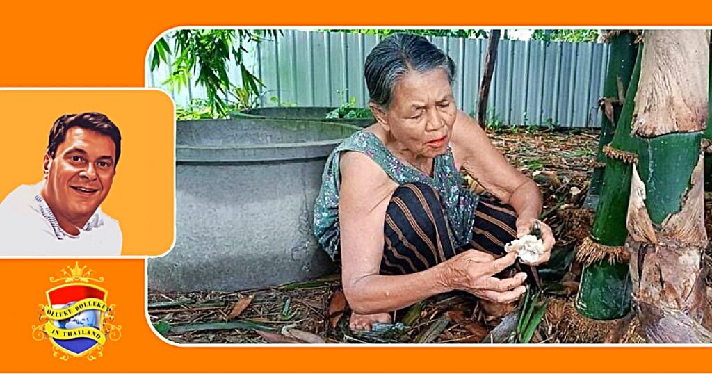 Thaise familie belandt in het ziekenhuis na het eten van giftige paddenstoelen in Kabin Buri (Oost-Thailand)