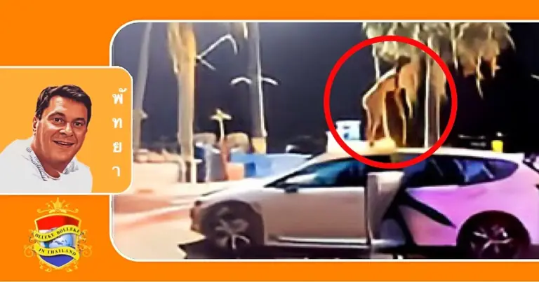 🎥 | Thaise vrouw danst de “Tango” op een rijdende taxi in Pattaya 