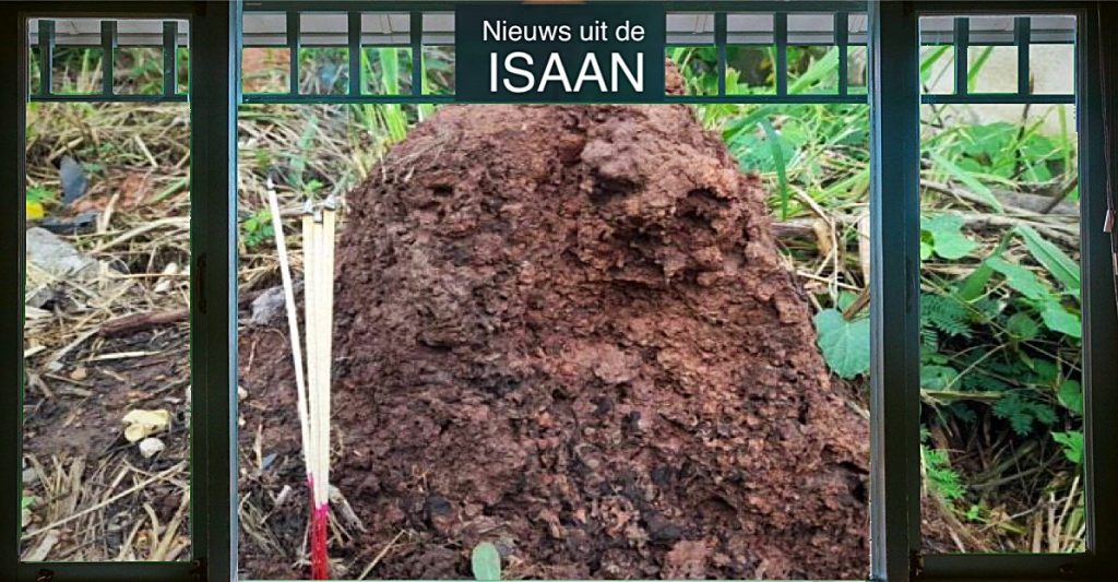 Termietenheuvel zorgt voor loterijwaanzin in Udon Thani, zou de blogger Lowy Cremers hier ook aan meedoen?