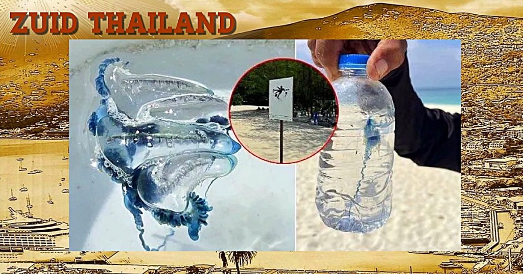 De toeristen in Zuid-Thailand worden gewaarschuwd voor kwallen met name bij Bamboo Island