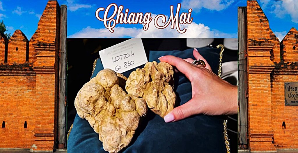 Thailand heeft zijn eigen truffels, zo ontdekken onderzoekers van Chiang Mai