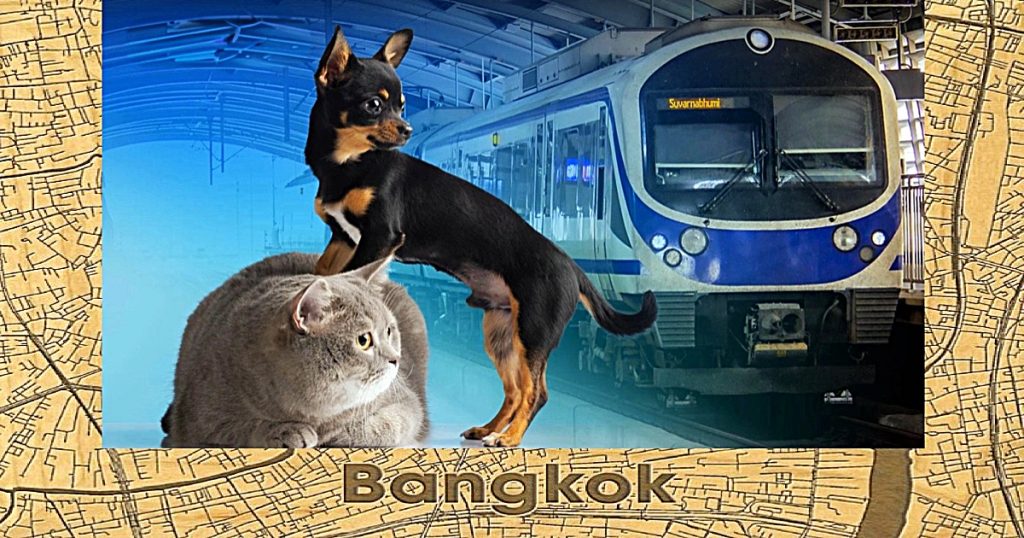 Vanaf vandaag mogen huisdieren in de Thaise hoofdstad Bangkok gratis mee met de Airport Rail Link