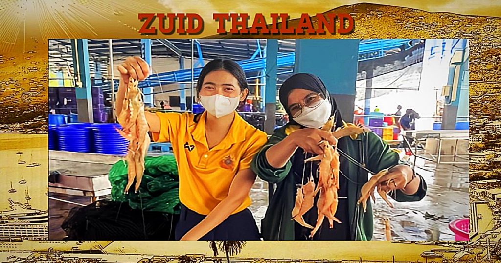 Vissersboot haalt voor de kust van Phang Nga in Zuid-Thailand in één keer 4 ton garnalen omhoog!