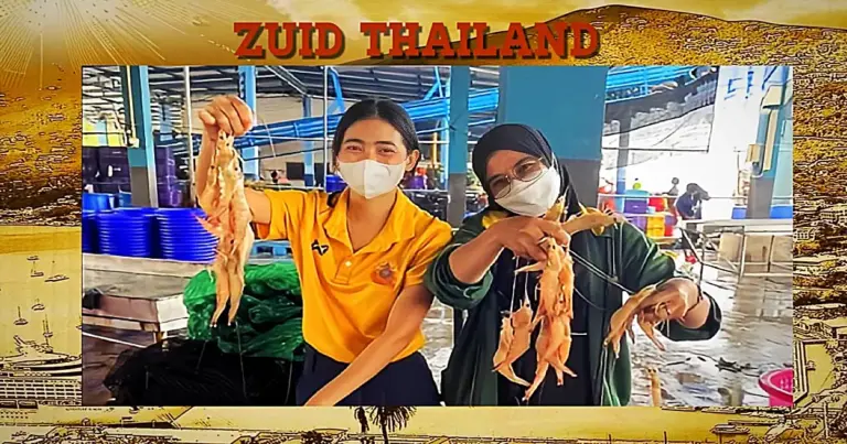 Vissersboot haalt voor de kust van Phang Nga in Zuid-Thailand in één keer 4 ton garnalen omhoog!