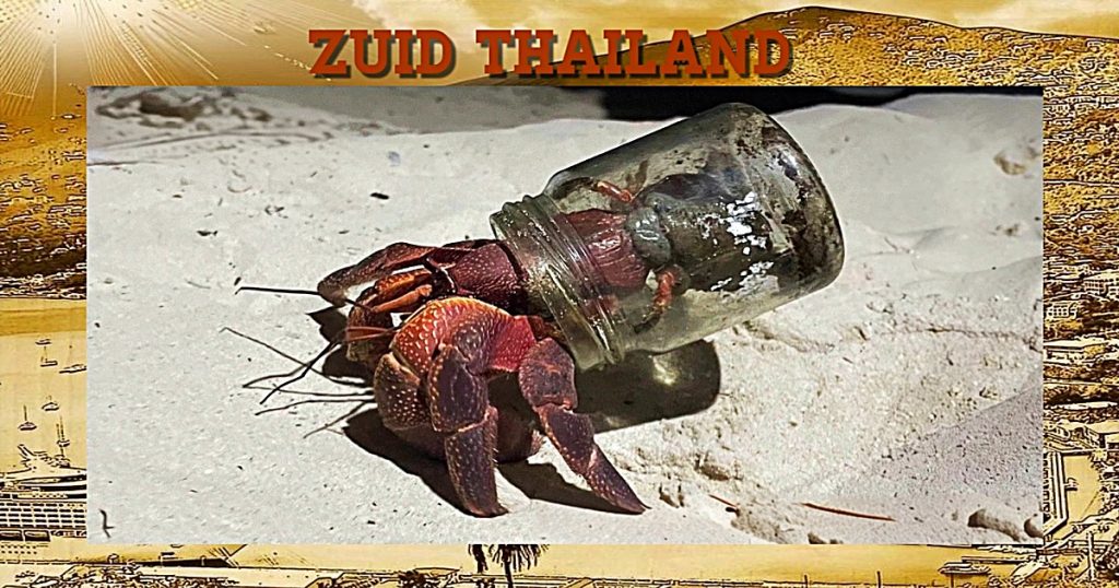 Het Similan nationaal park in Zuid-Thailand houdt een pleidooi voor huisjes voor de heremietkreeftjes