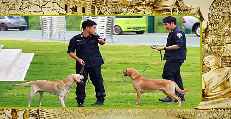 Thailand pronkt bovenaan de lijst van Zuid-Korea met drugssmokkel