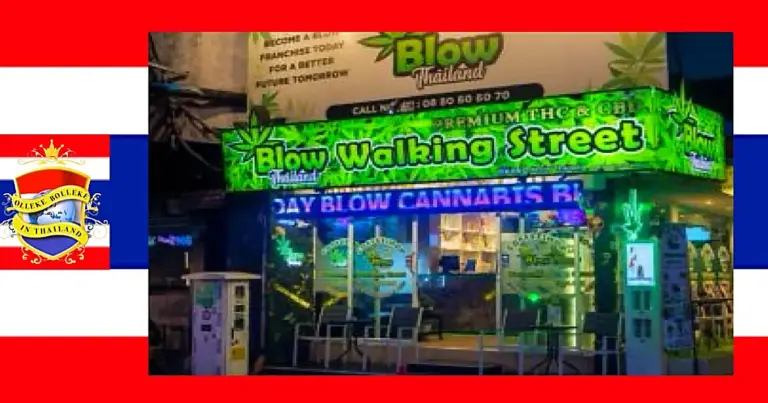 De cannabis-molen Thailand draait wéér: cannabis wordt mogelijk gereguleerd