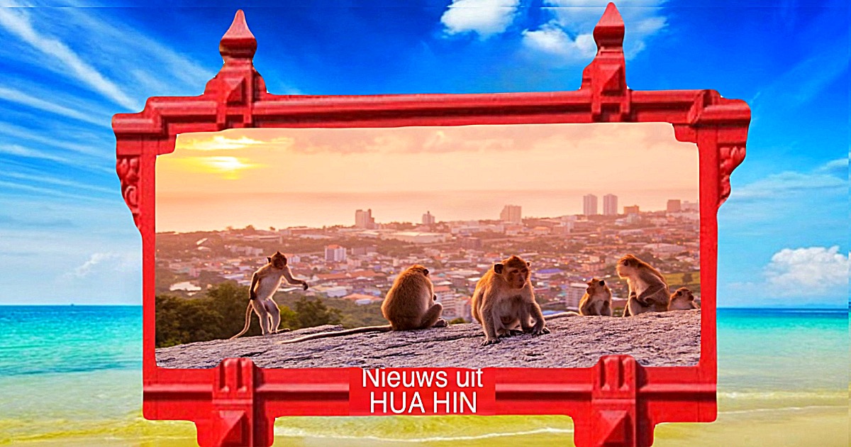 Gemeentebestuur Hua Hin hield een bijeenkomst om het apenprobleem van Hin Lek Fai en Khao Takiab te bespreken