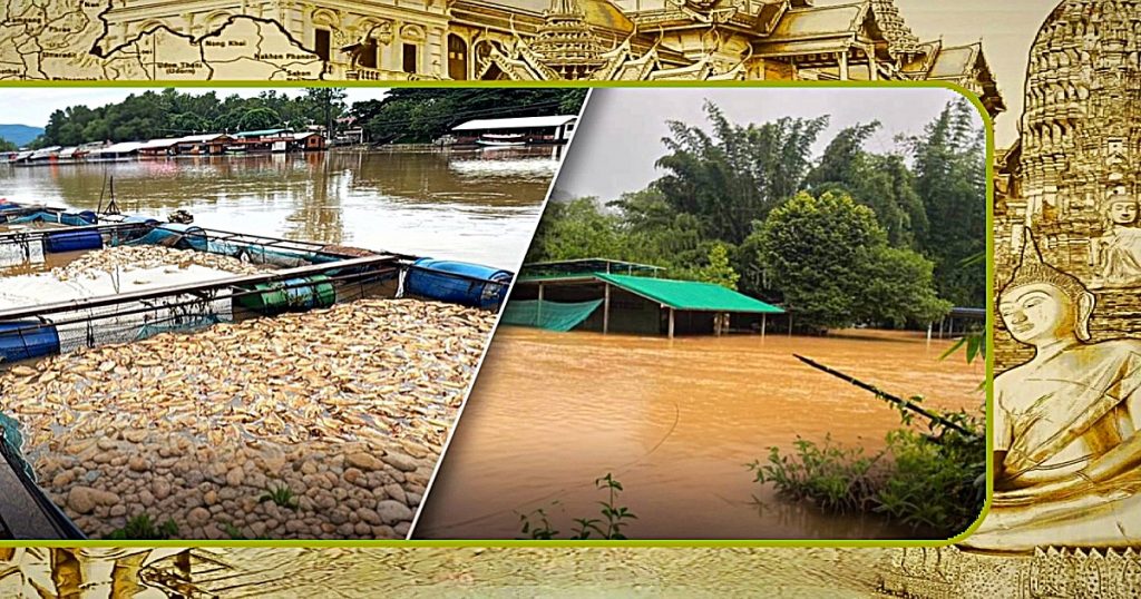 Overstromingen hebben de viskwekers in Centraal-Thailand geruïneerd 