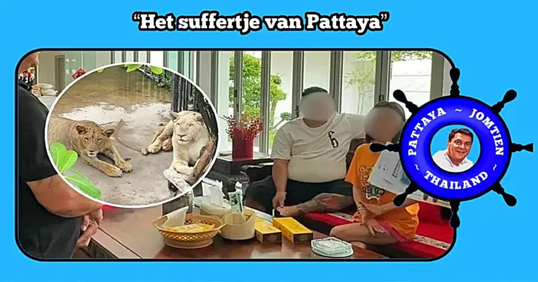 Chinese echtpaar komt in Pattaya in de problemen door het temmen van de leeuwen