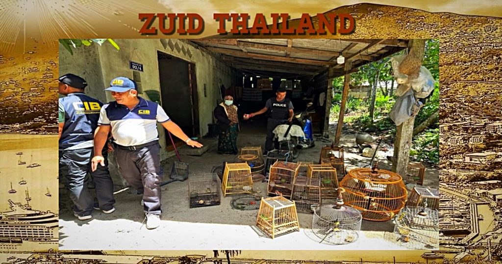 Vrouw in Zuid-Thailand gearresteerd wegens illegale handel in wilde vogels