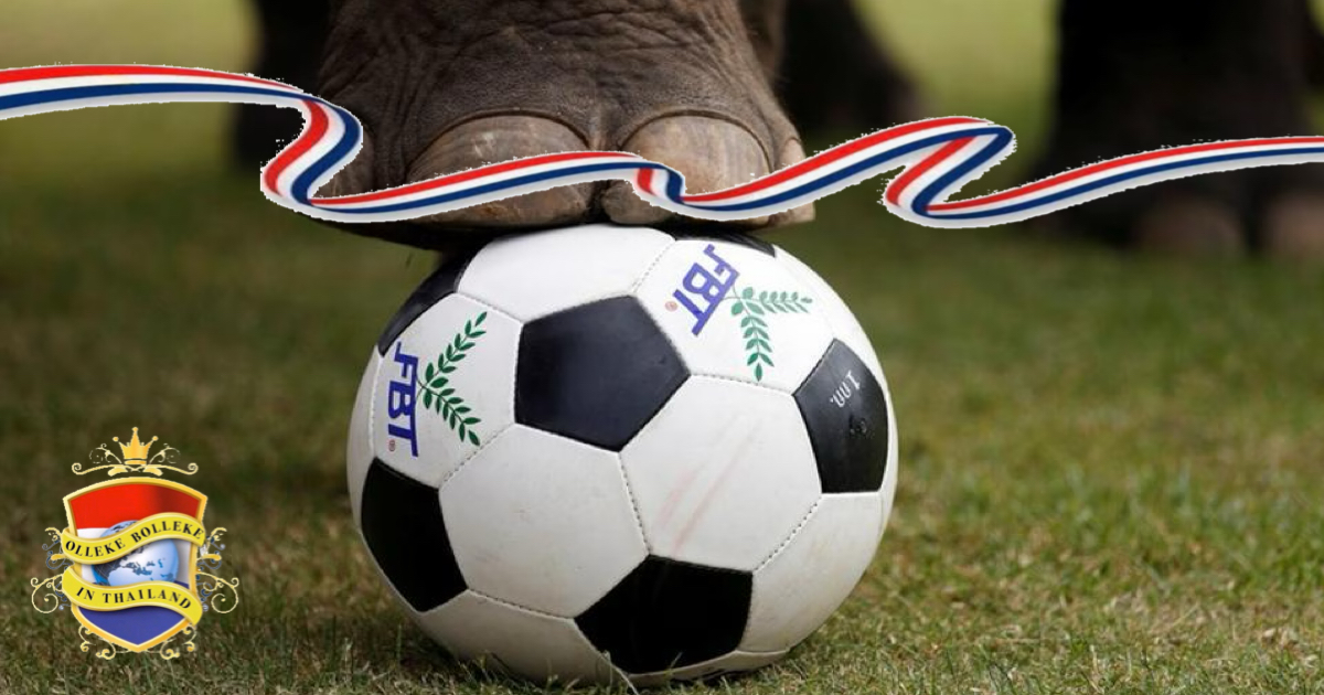 Nationale politie heeft tijdens en na het EK 24 ruim 4.000 arrestaties verricht inzake het illegale gokken