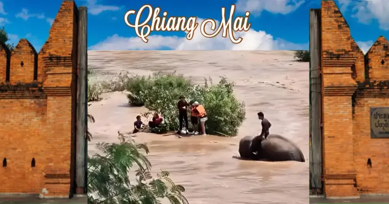 Mahouts weten met hun olifanten een groep toeristen uit het kolkende water van een rivier in Noord-Thailand te redden