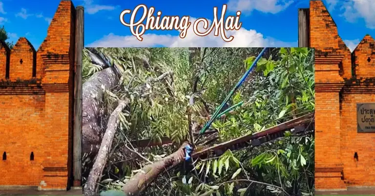 UPDATE | Zipline-avontuur in Chiang Mai eindigt in tragedie: vrouw bezwijkt aan verwondingen
