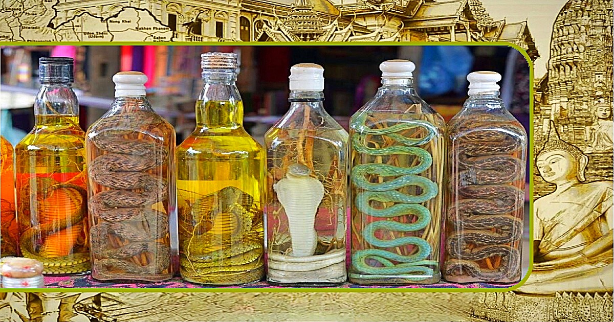 Man in Thailand drinkt potentie verhogende  nepslangenwijn maar krijgt acute nierproblemen