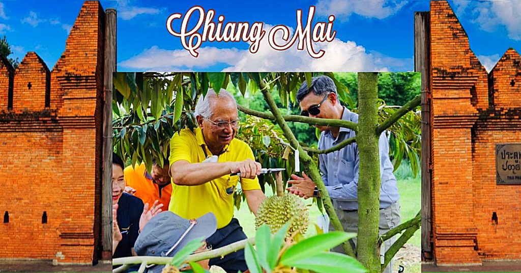 20 durians die op een berg in de provincie Chiang mai zijn geteeld, brachten tijdens een liefdadigheidsveiling méér dan 500.000 baht op