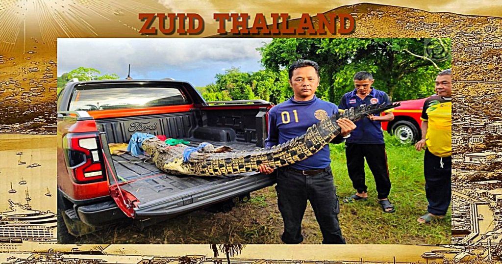 Het zuidelijke gelegen Phuket kan weer opgelucht ademhalen nadat daar een fikse dame van 2,5 meter uit het water was gehaald