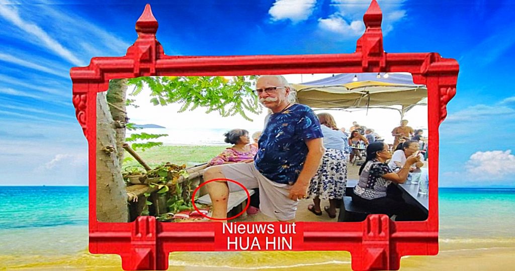 Zwitserse man wilt een adequate oplossing voor het honden probleem op het strand van Ban Suan Luang in Prachuap Khiri Khan