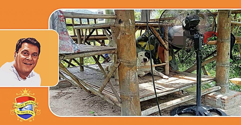 De waakzaamheid van zijn trouwe viervoeter benadrukte de tragische dood van zijn baas in Oost-Thailand