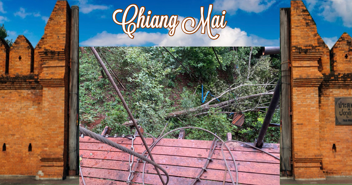 Chinees stel in Noord-Thailand tijdens het tokkelen getroffen door vallende boom, de vrouw overleeft dit niet