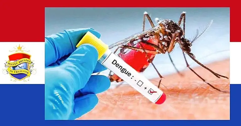 Goed nieuws voor de Thailand-gangers, er is nu een  vaccin tegen Dengue beschikbaar 