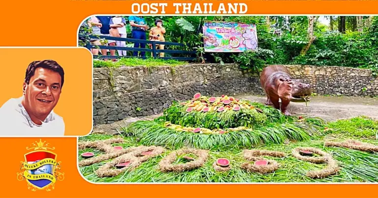 De 59ste verjaardag van Tante Mae Mali, het oudste nijlpaard van Thailand trok vele bezoekers 