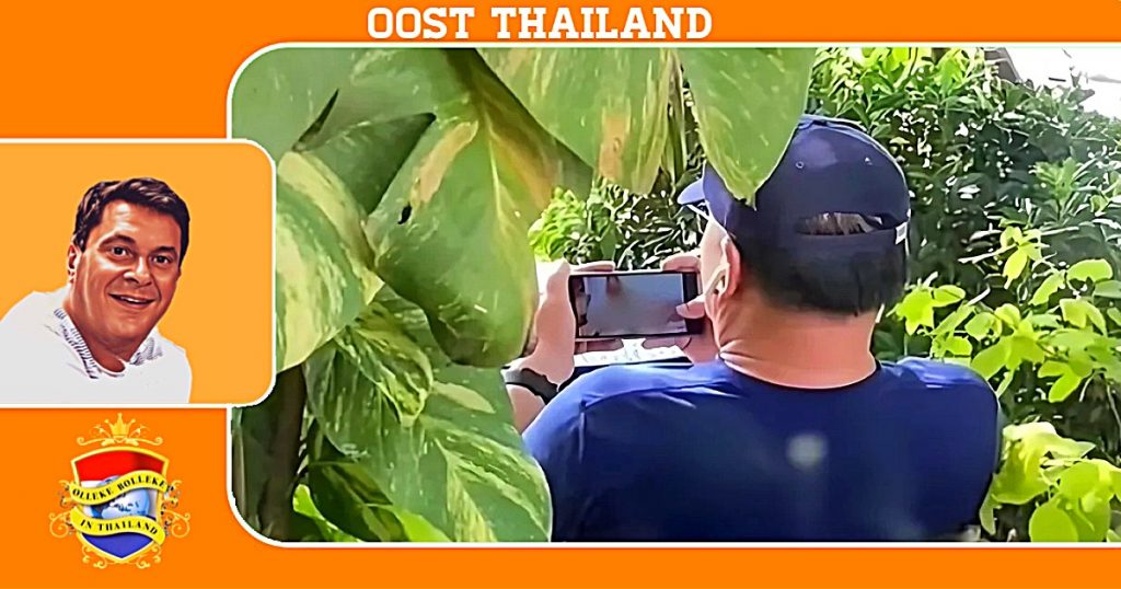 Man in Oost-Thailand veroordeeld voor het gebruik van gratis wifi in café om sexvideo’s te bekijken
