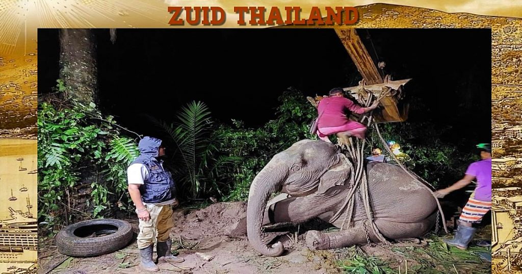 Afgelopen nacht is er in Zuid-Thailand een 3000 kilo zware dame op de poten gezet 