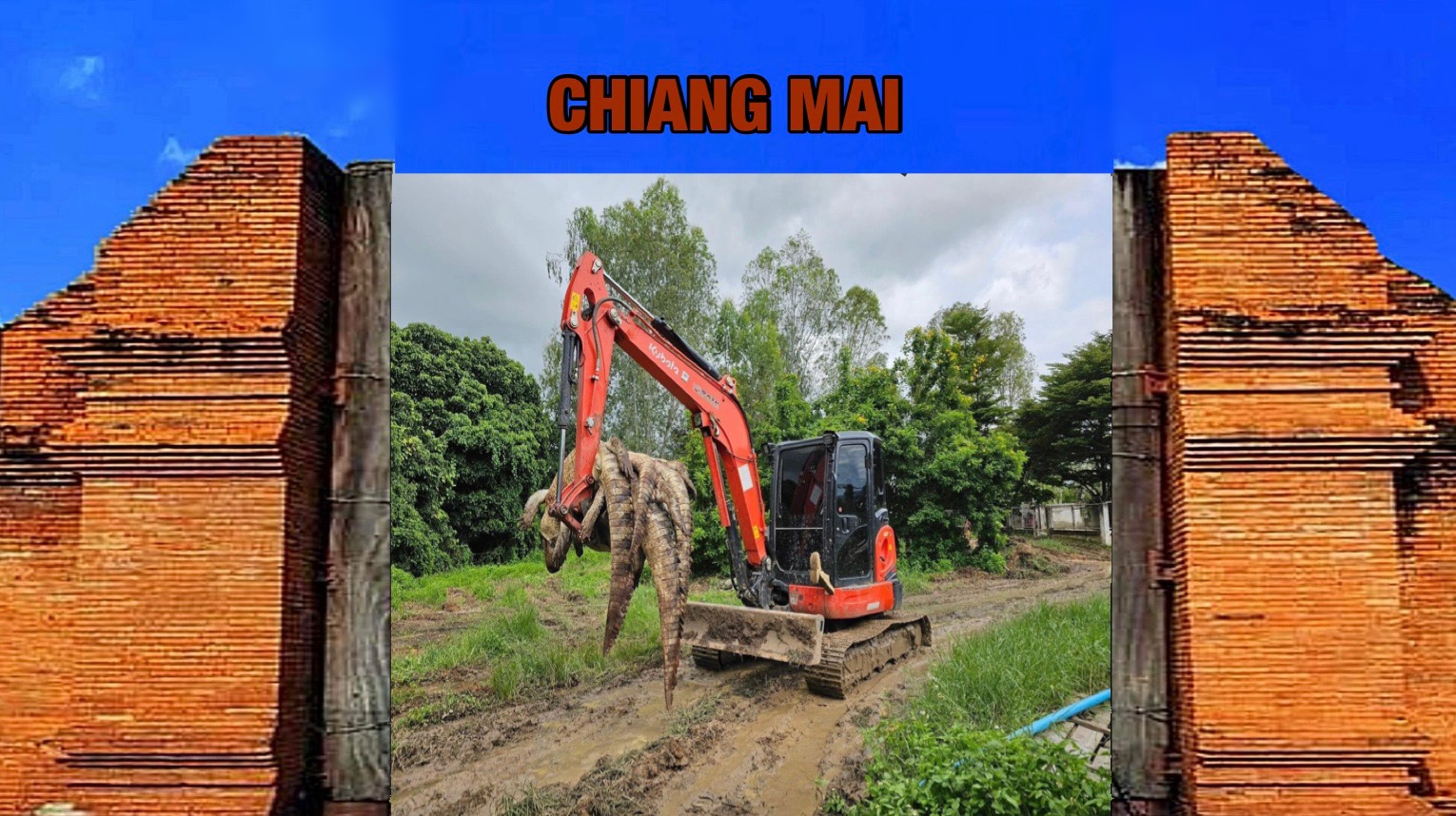 Krokodillen boer in Noord-Thailand doodt 125 krokodillen uit vrees voor ontsnapping na zware regen