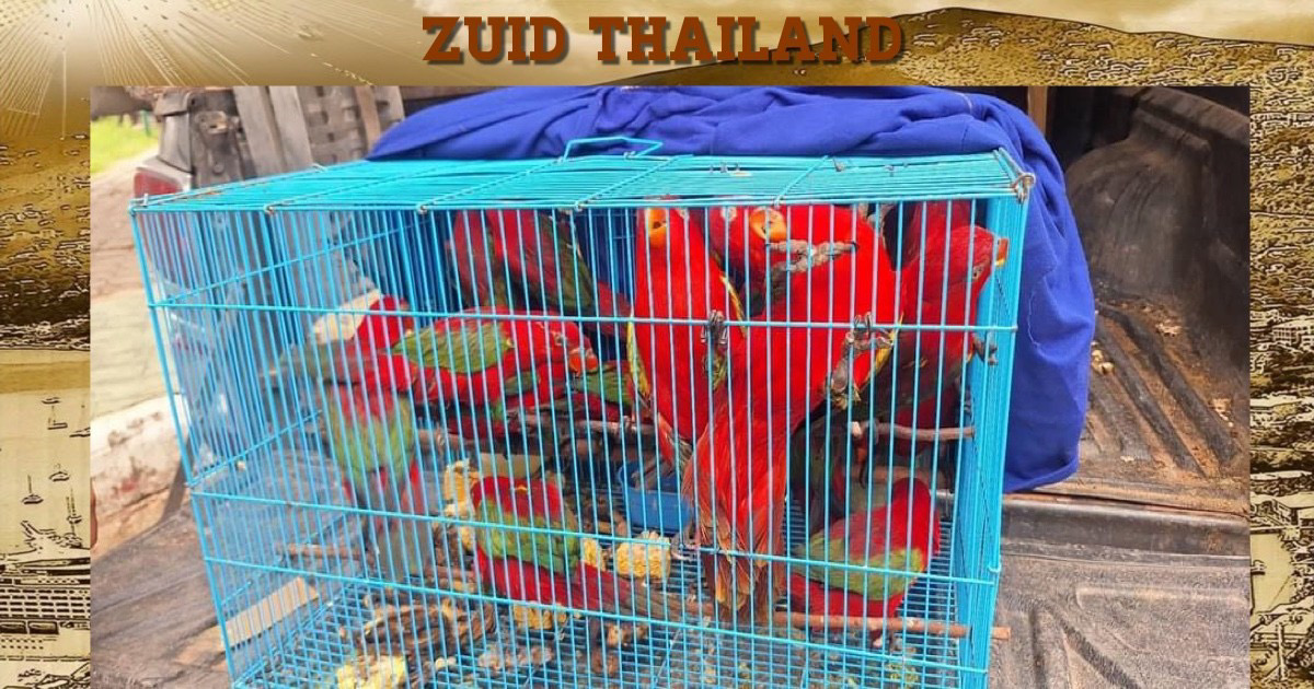 Smokkelbende in wilde dieren loopt in Zuid-Thailand tegen de lamp