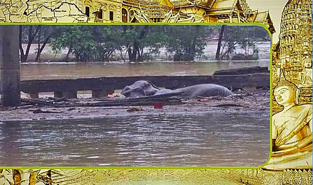 Nare beelden uit Noord-Thailand 