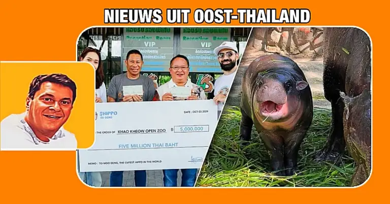 Zakenman uit Dubai doneert 5 miljoen baht ter ondersteuning van Moo Deng in Khao Kheow Open Zoo van Chonburi