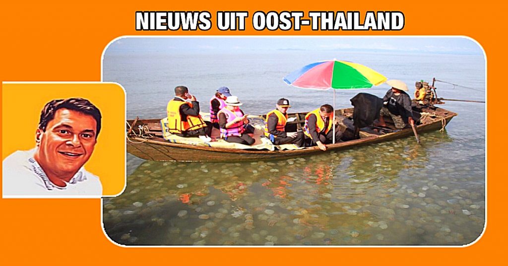 Toeristen trekken massaal naar Ban Khlong Son Beach in Oost-Thailand om kleurrijke kwallen te spotten