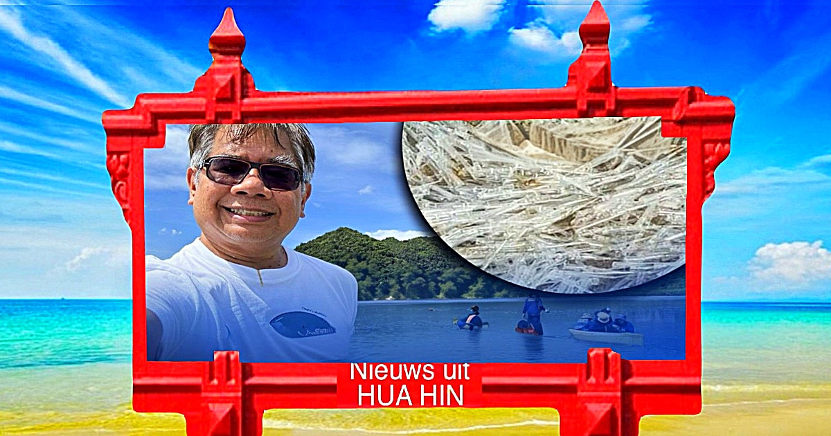 Toeristen vluchten van het strand van Pranburi vanwege mysterieuze naaldachtige wezentjes