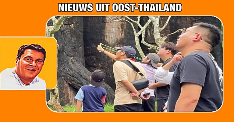 🎥 | Chinese toerist schiet met een katapult op dieren in de dierentuin van Khao Kheow in Oost-Thailand 