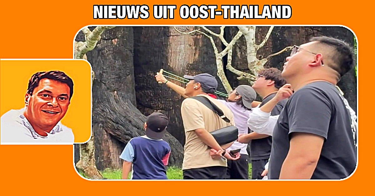 đ„ | Chinese toerist schiet met een katapult op dieren in de dierentuin van Khao Kheow in Oost-ThailandÂ