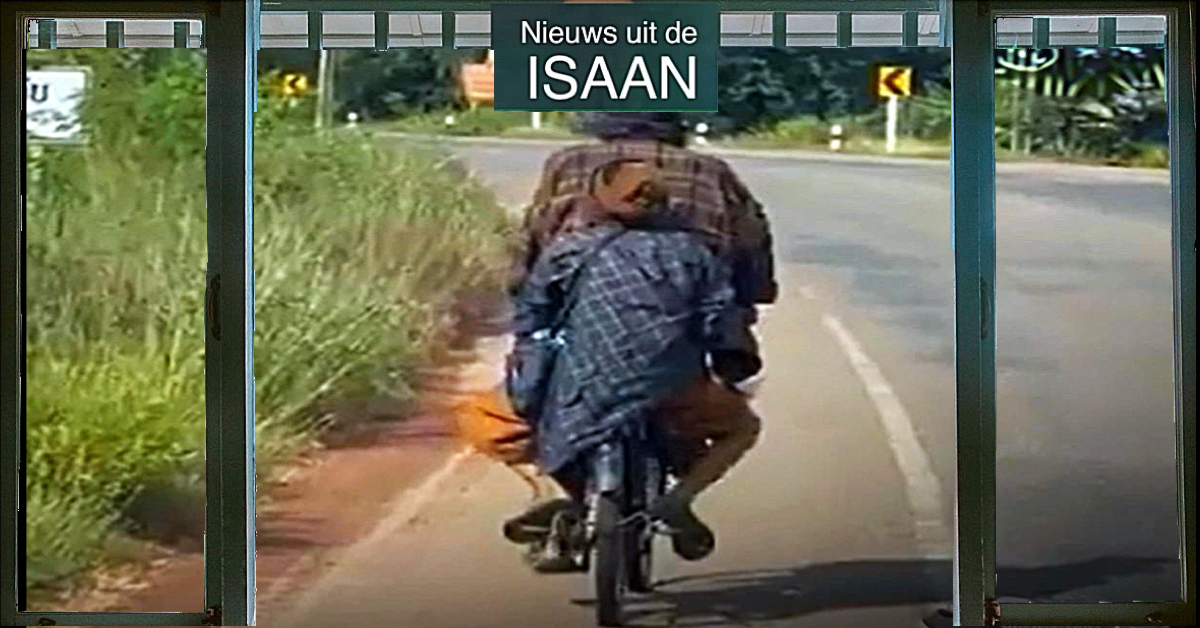 🎥 | Oudere man fietst 80 kilometer naar huis in Noordoost-Thailand met zijn blinde vrouw achter op de bagagedrager