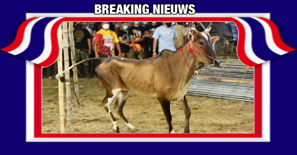 BREAKING:- Thailand gestart met het legaliseren van enkele gokspelen