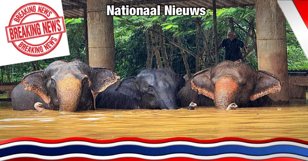 BREAKING NIEUWS | Flitsvloed overstromingen in Noord-Thailand bedreigen een olifantenpark in Chiang Mai, er moet nu echt iets gebeuren