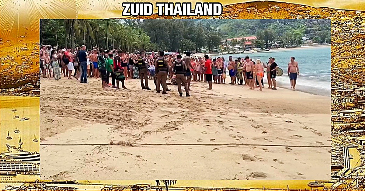 Meterslange Netpython op een strand van Phuket brengt huivering onder de toeristen teweeg