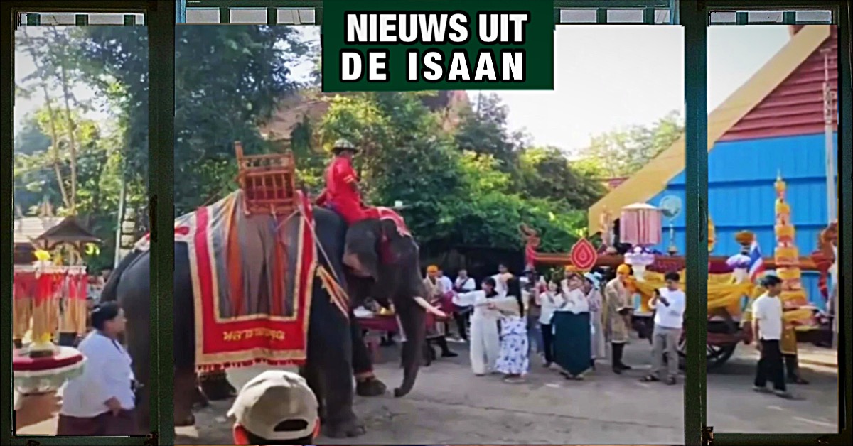 🎥 | Tijdens een liefdadigheidsevenement in Noordoost-Thailand krijgt een olifant de kolder in de kop, wat het leven van een vrouw kost