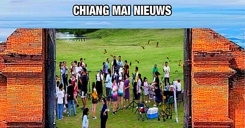 Het nieuwe openbare park van Chiang Mai in het noorden van Thailand is een paradijs voor vogelliefhebbers