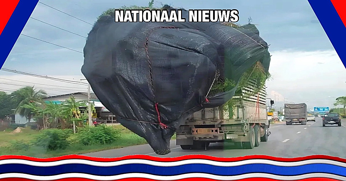 Tijdens de wereldverkeer’s herdenkingsdag voor slachtoffers, klinkt in Thailand de oproep om de verkeersveiligheid te verbeteren