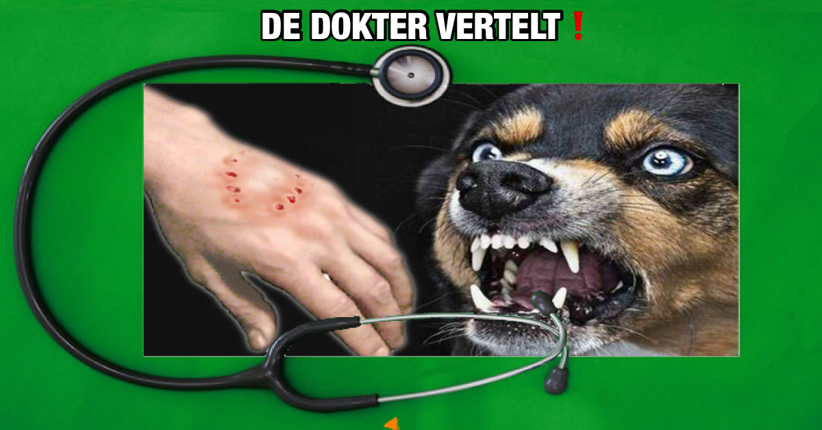 De hoofdstad van Thailand, Bangkok geeft waarschuwing voor hondsdolheid, blijf uit de buurt van zwerfdieren.