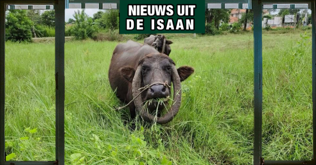Interessante ontdekking in Noordoost-Thailand!