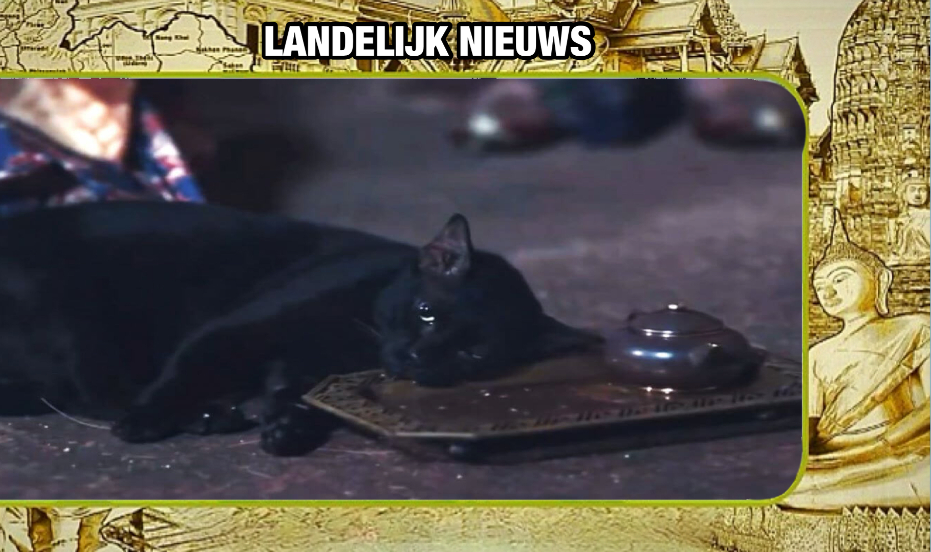 UPDATE | Boycot op de Netflix film “The Empress of Ayodhaya” in Thailand na mogelijke dierenmishandeling 