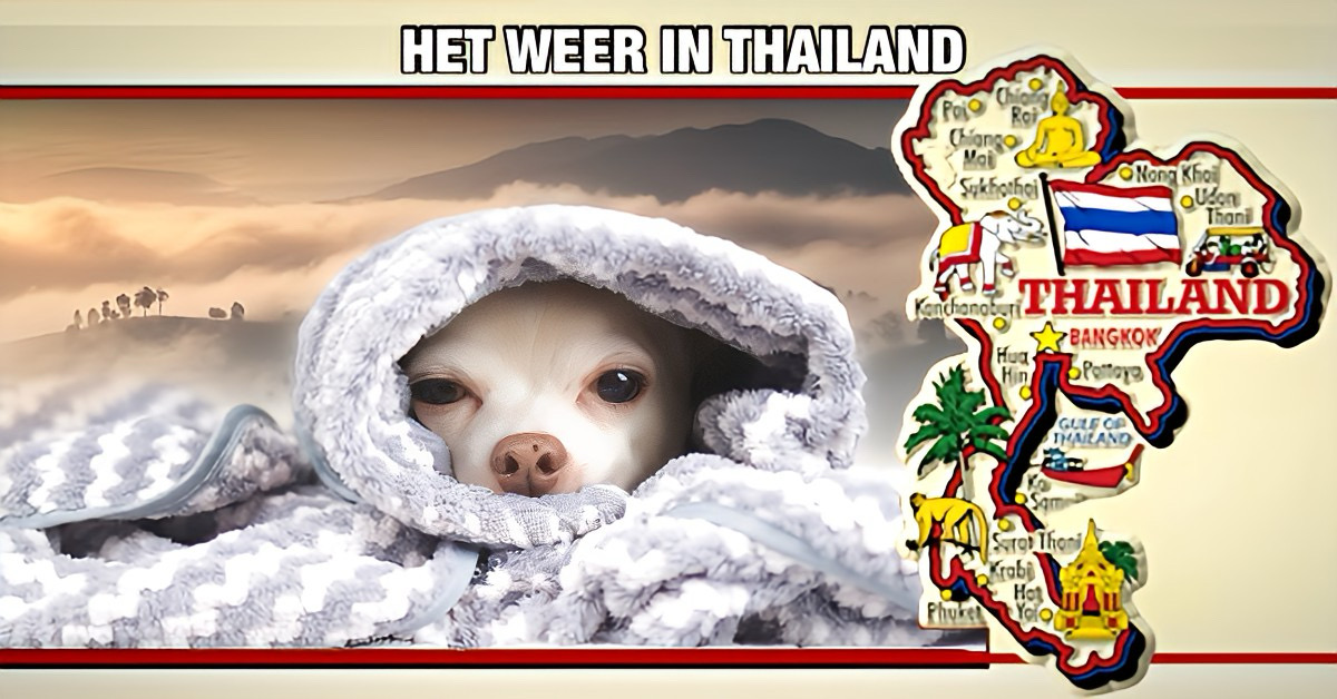 Thailand is in de ban van de winter; het noorden blijft de komende dagen koud, terwijl andere regio’s daar ook iets van mee krijgen!