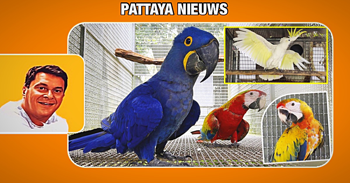 Thaise papegaaienliefhebber in Thailand weet van zijn hobby zijn beroep te maken