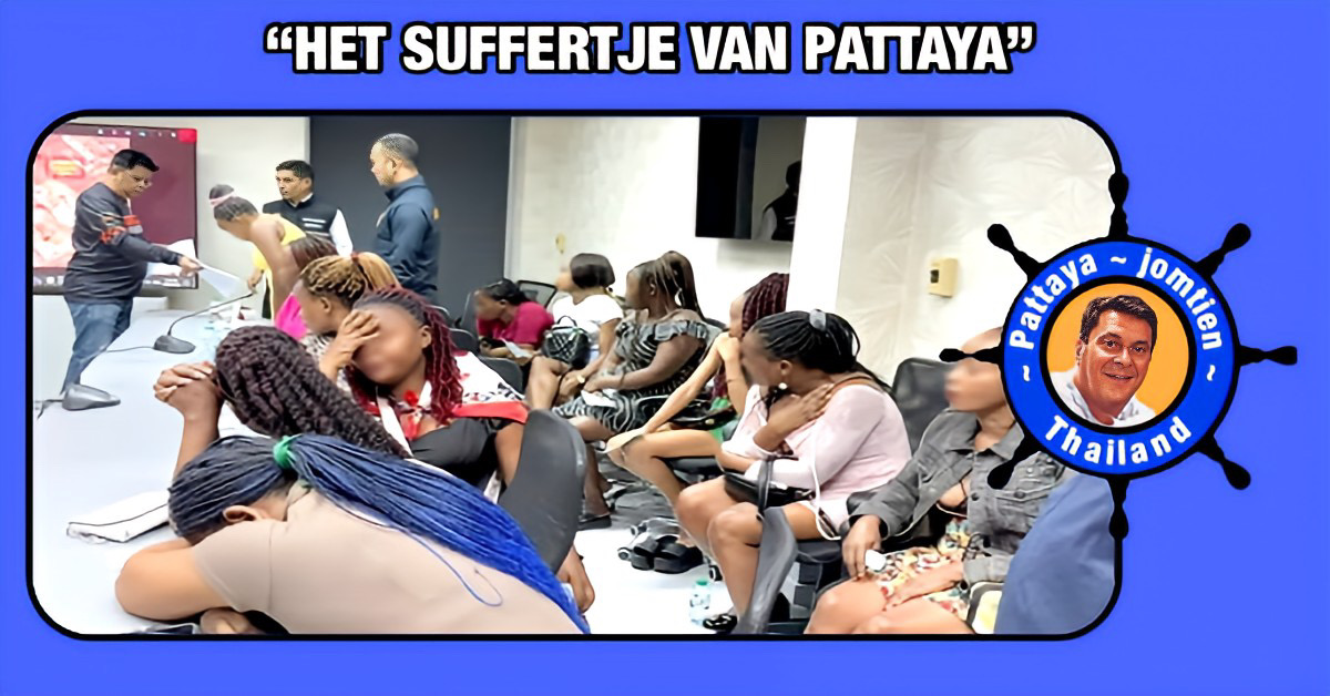 Politie holt met een vangnet over de Beach Road van Pattaya om Afrikaanse nachtvlinders te vangen