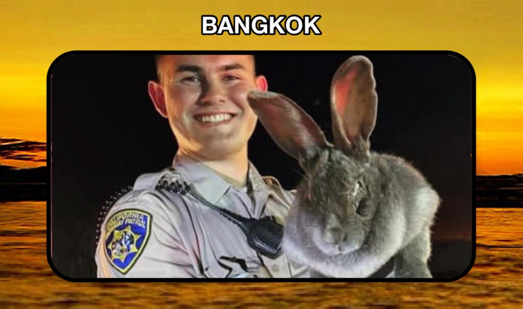 UPDATE |  Thailand heeft de operatie “Rabbit Hunt” gelanceerd om illegale makers van pornografische content op te sporen en te arresteren.